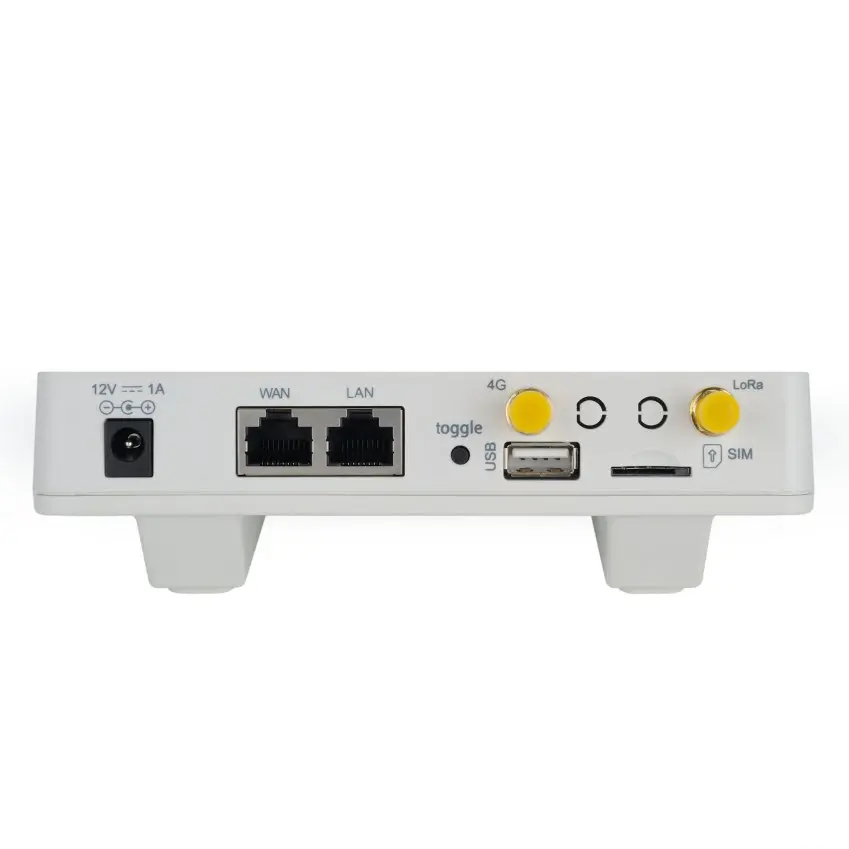 LG308-05.webp